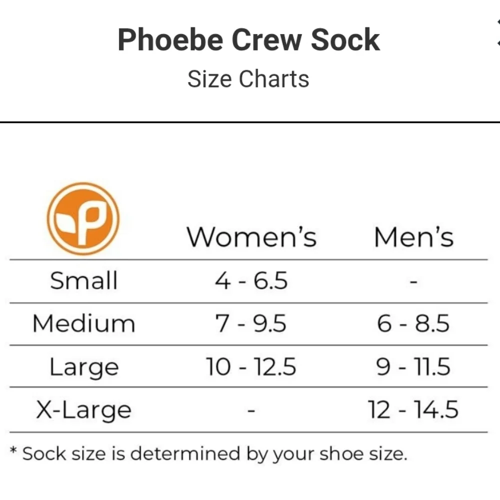Pistil Phoebe Crew Socks Merino Wool Blend Teal Stripe Grey Womens Medium NEW